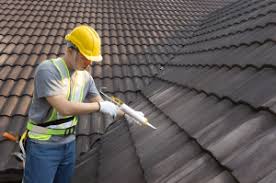 Best Roof Moss and Algae Removal  in USA